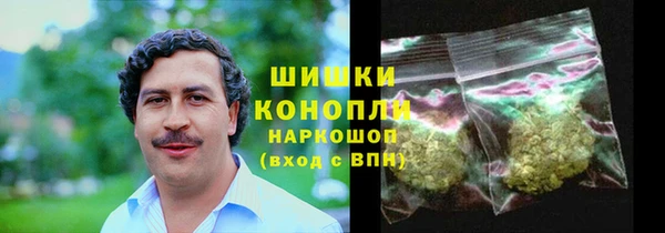 молекула духа Сосновый Бор