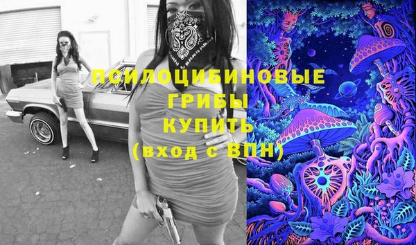молекула духа Сосновый Бор