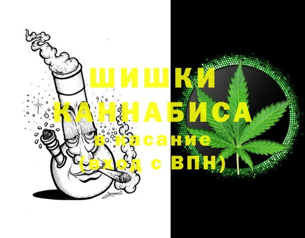 молекула духа Сосновый Бор